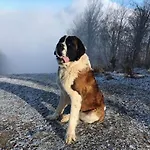 Inovecka * Trencianske Jastrabie
