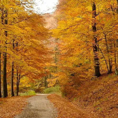 Ξενοδοχείο Inovecka Trencianske Jastrabie