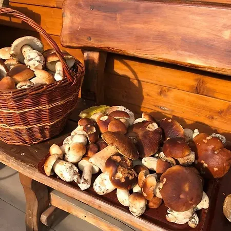 Ξενοδοχείο Inovecka