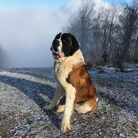 Inovecka * Trencianske Jastrabie